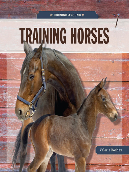 Title details for Training Horses by Valerie Bodden - Available